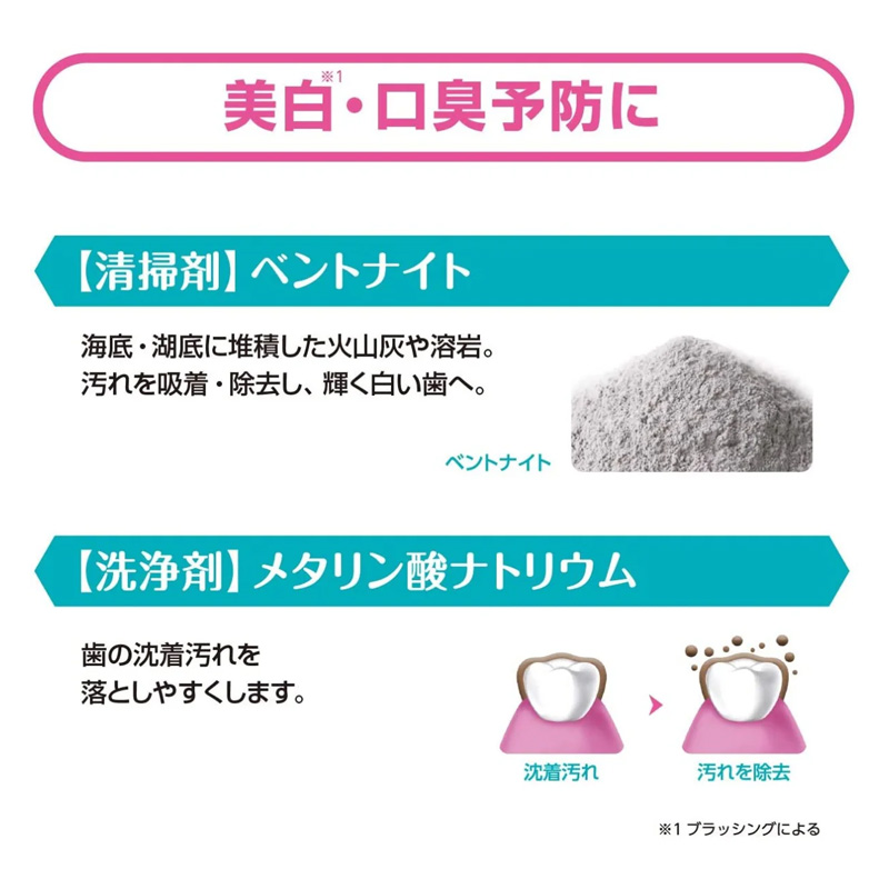トゥービー フレッシュ 薬用デンタルペーストプレミアム 60g