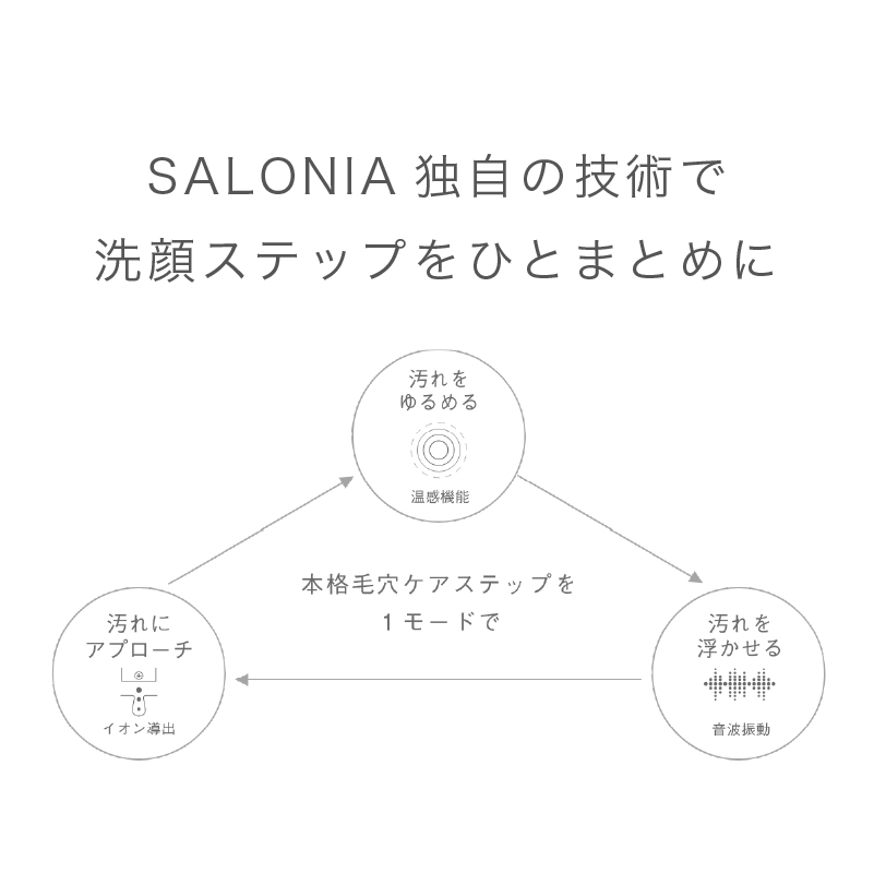 【お取り寄せ商品】イオン フェイシャルブラシ SAL21202-SL