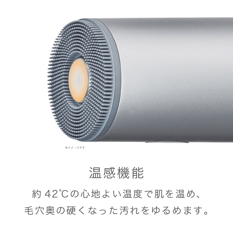 【お取り寄せ商品】イオン フェイシャルブラシ SAL21202-SL
