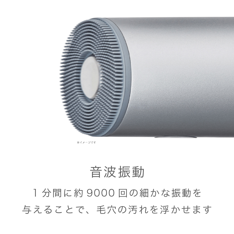 【お取り寄せ商品】イオン フェイシャルブラシ SAL21202-SL