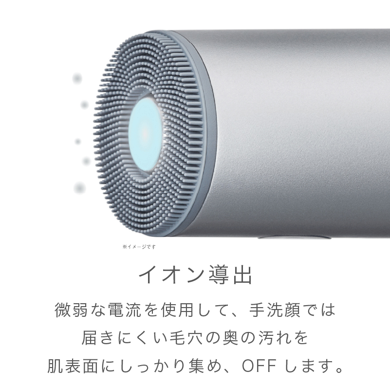 【お取り寄せ商品】イオン フェイシャルブラシ SAL21202-SL