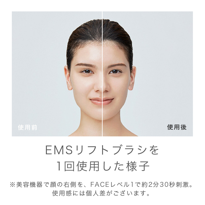 【お取り寄せ商品】EMSリフトブラシ SAL22206-SL