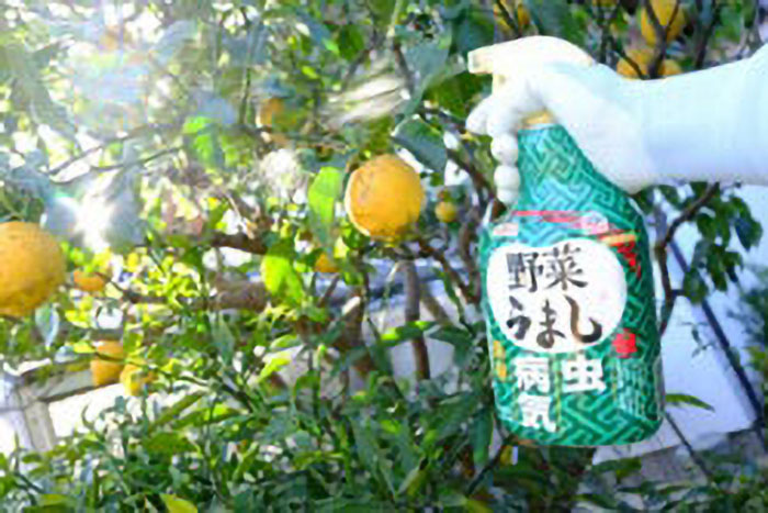 アースガーデン 野菜うまし