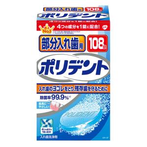 入れ歯洗浄剤 部分入れ歯用 ポリデント 108錠