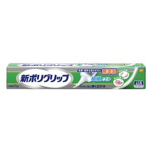 入れ歯安定剤 新ポリグリップ極細ノズル70g 70g