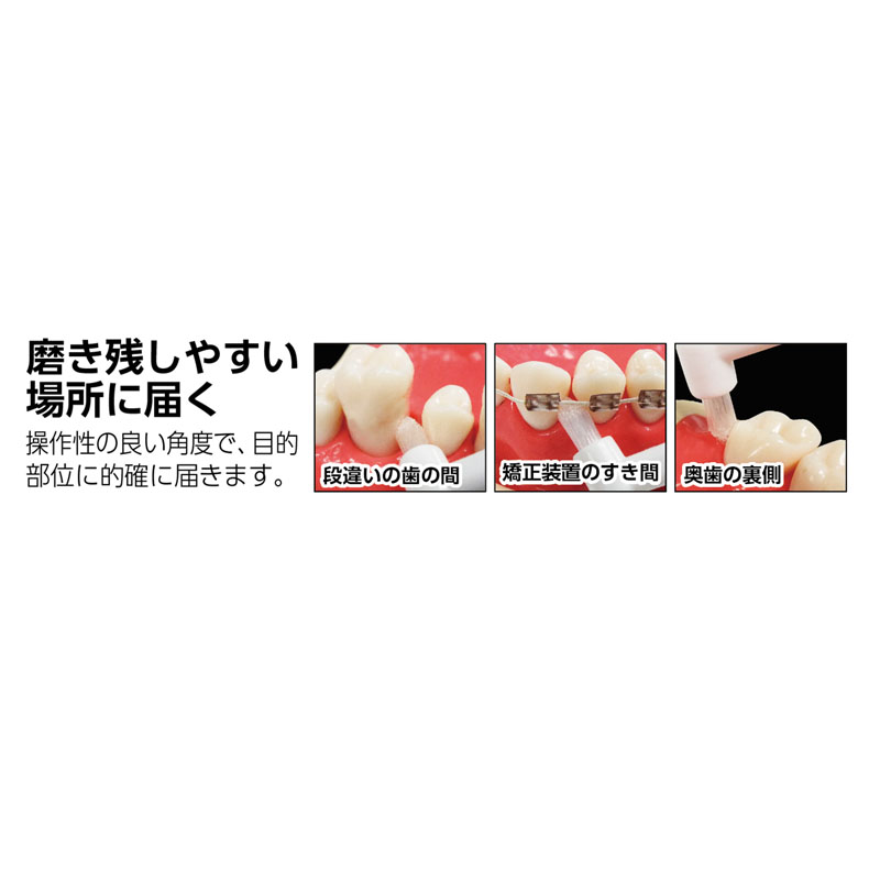 ポイントブラシ M