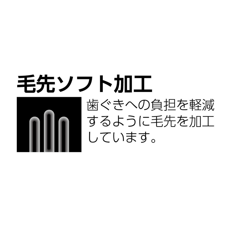 ポイントブラシ M