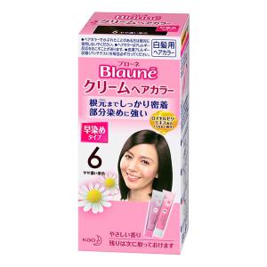 ブローネクリームヘアカラー 6 やや濃い栗色 80g