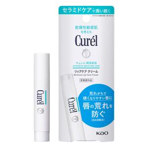 キュレル 潤浸保湿 リップケアクリーム 4.2g【医薬部外品】