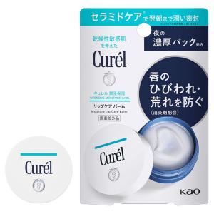 キュレル 潤浸保湿 リップケアバーム 4.2g【医薬部外品】