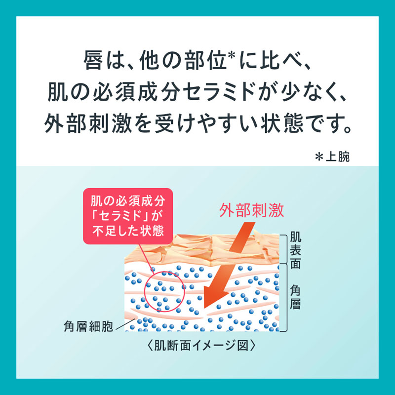 キュレル 潤浸保湿 リップケアバーム 4.2g【医薬部外品】