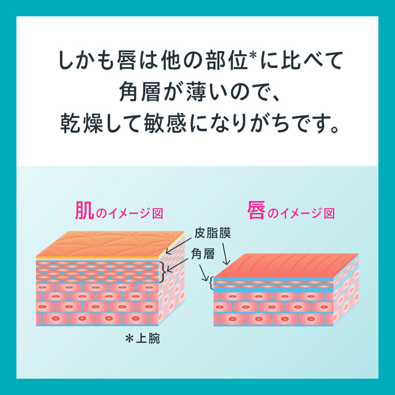 キュレル 潤浸保湿 リップケアバーム 4.2g【医薬部外品】