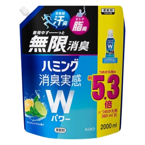 ハミング消臭実感 Wパワー クリアシトラス スパウト 2L