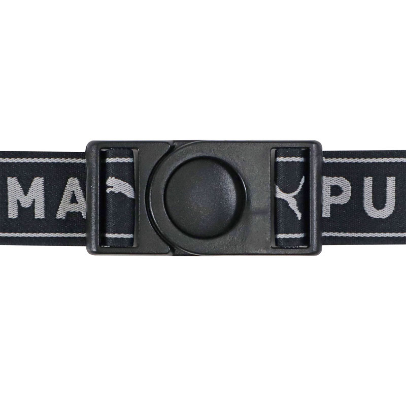 チェストベルト