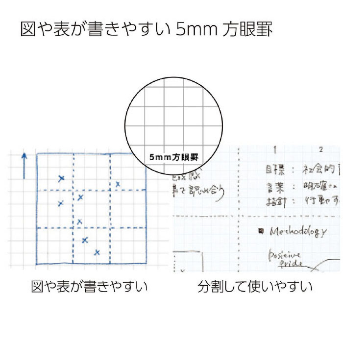キャンパスツインリングノート方眼罫50枚カットオフセミB5 ス-T113S5-D