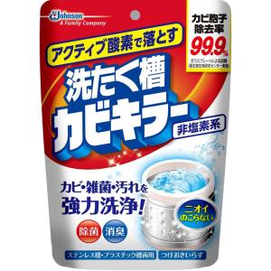 ★アクティブ酸素で落とす 洗たく槽カビキラー 250g