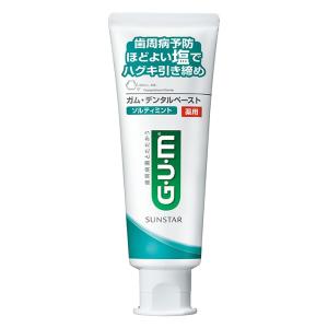 歯磨き粉 ガム・デンタルペースト ソルティミント 150g