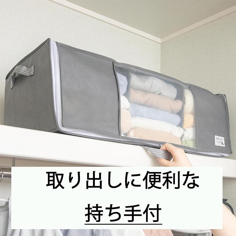 【お取り寄せ商品】出し入れ簡単がばっと収納袋II Lサイズ