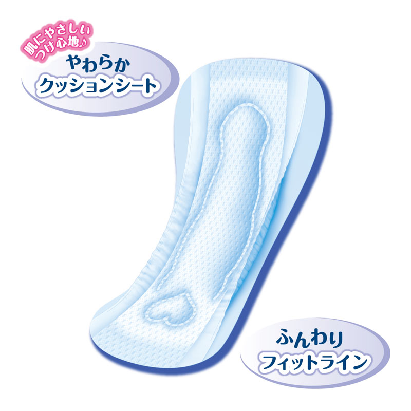 エリス 新・素肌感(多い日の夜用)羽なし （10枚×2パック）