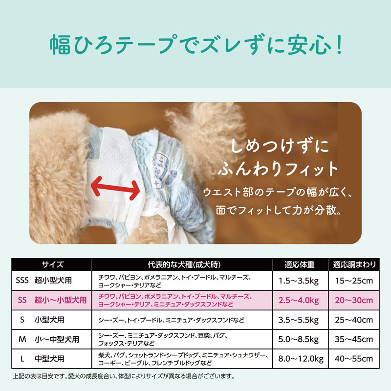 キミおもい リラックスウェア SS 38枚