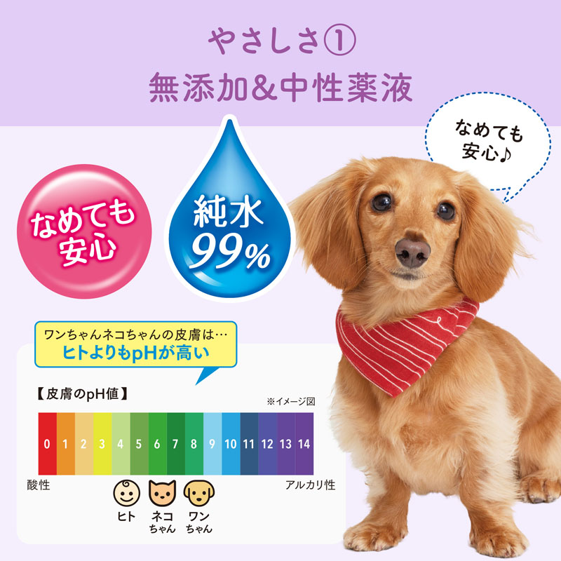 キミおもい 肌にやさしいウエットティシュー 純水99% 70枚×3P
