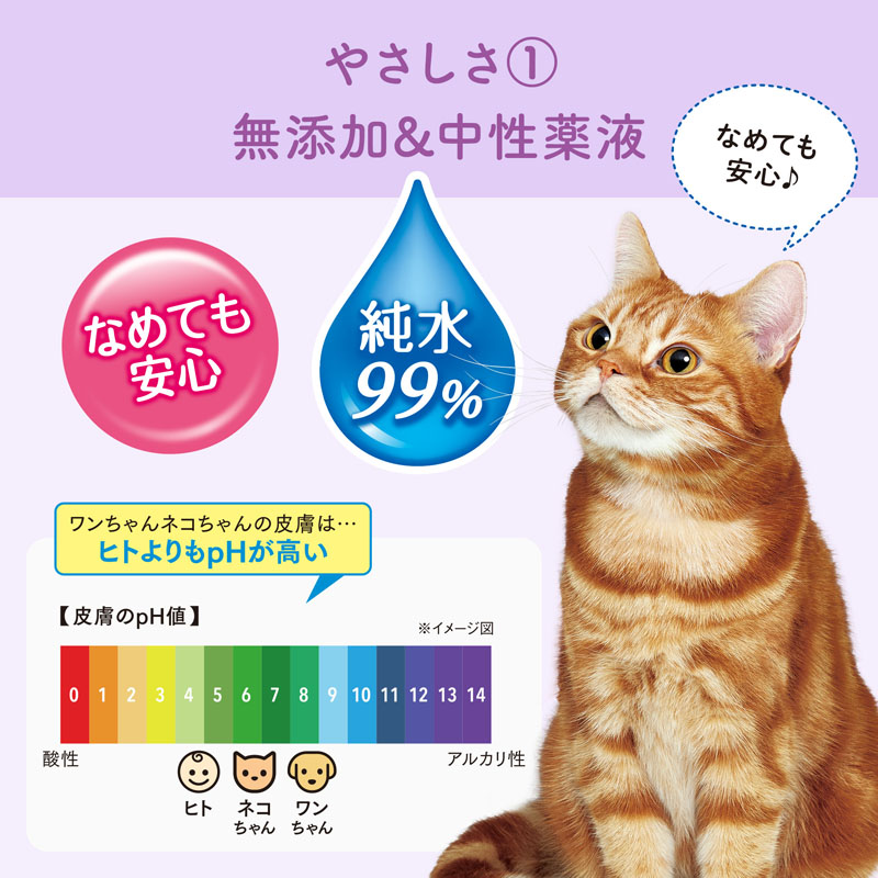 キミおもい 肌にやさしいウエットティシュー 純水99% 70枚×3P