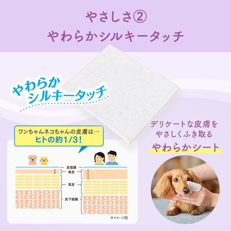 キミおもい 肌にやさしいウエットティシュー 純水99% 70枚×3P