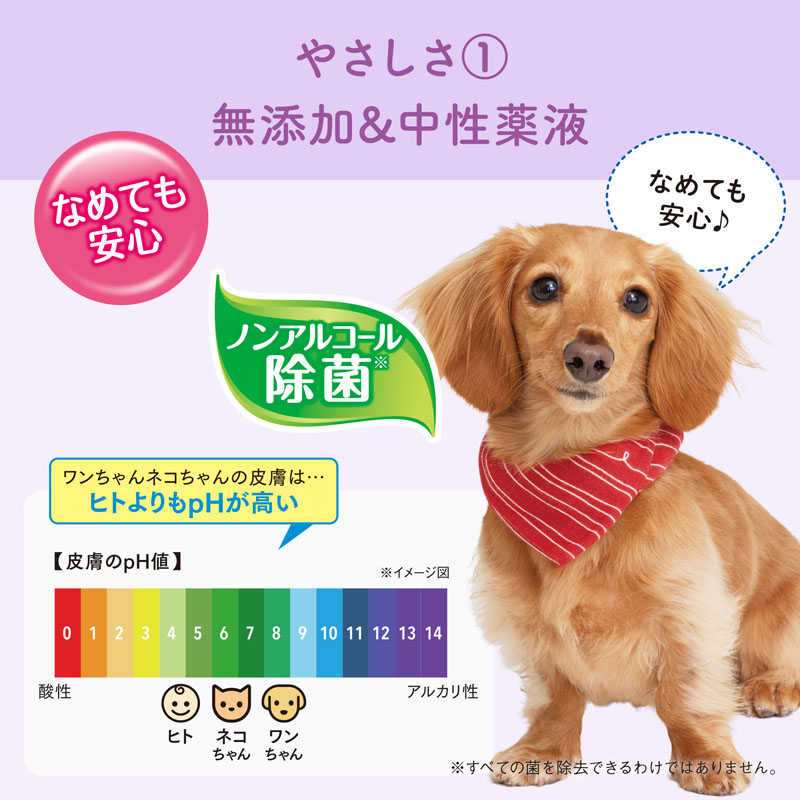 キミおもい 肌にやさしいウエットティシュー ノンアルコール除菌 60枚×3P