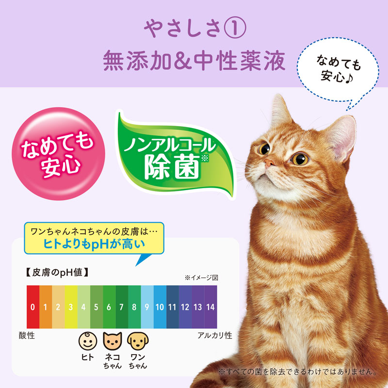 キミおもい 肌にやさしいウエットティシュー ノンアルコール除菌 60枚×3P