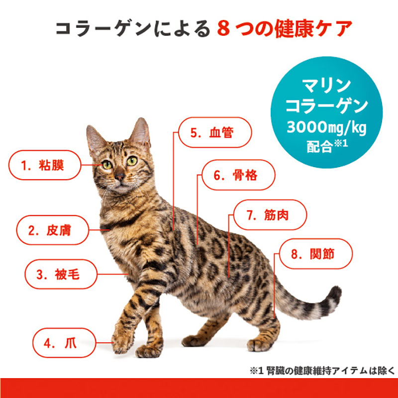 ビューティープロ キャット 下部尿路の健康維持 1歳から 2.7kg(450g×6袋)