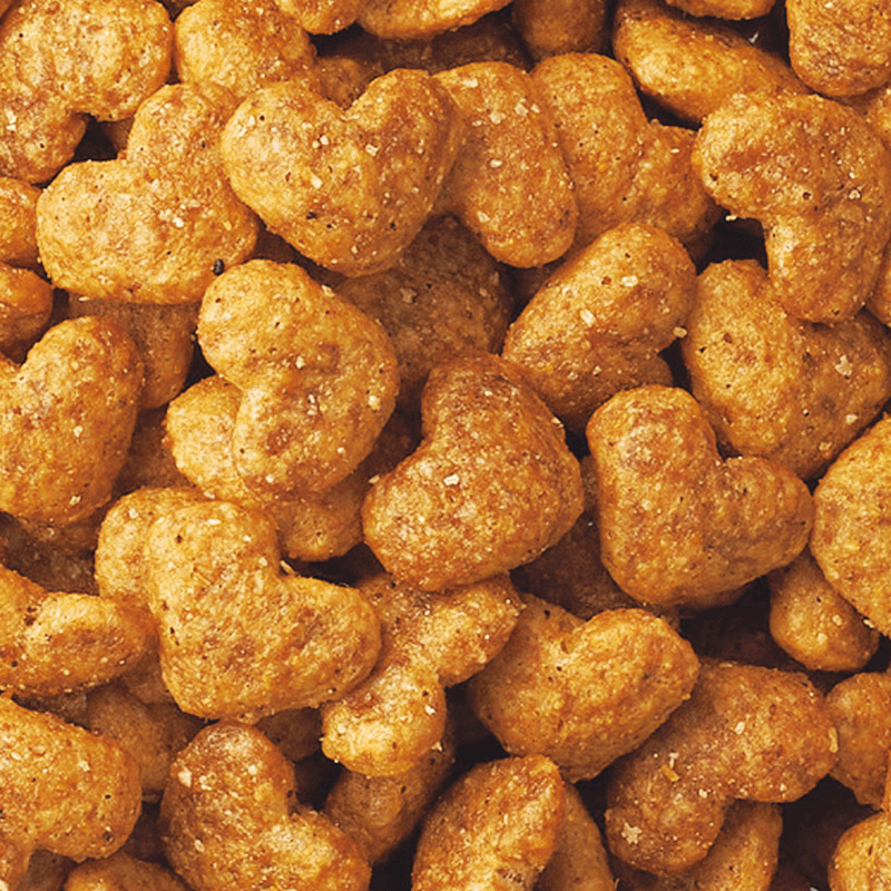 ビューティープロ キャット 腎臓の健康維持 8歳以上 フィッシュ味 1.4kg(280g×5袋)