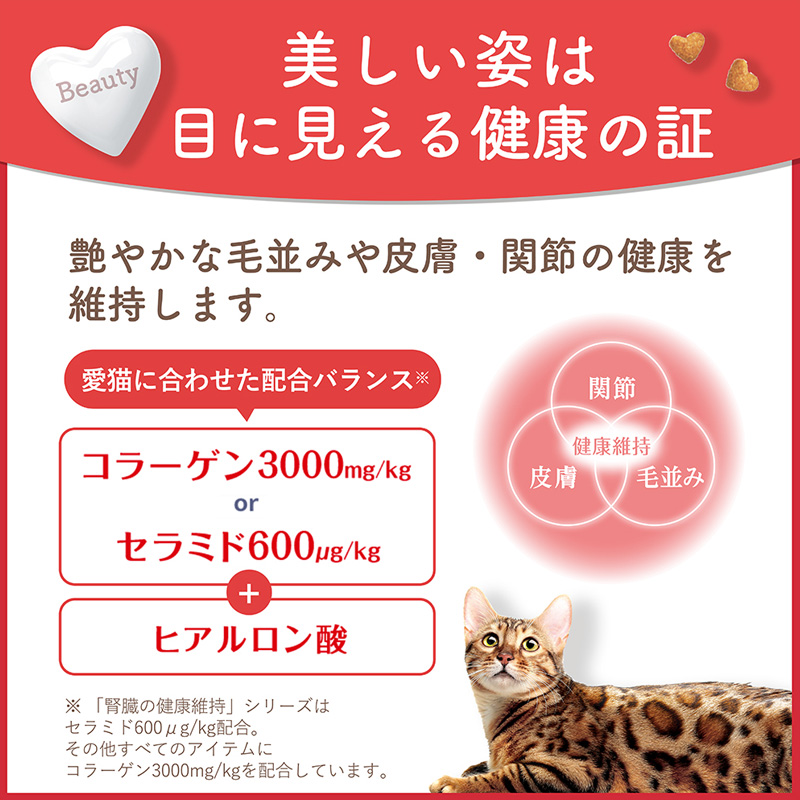 ビューティープロ キャット 腎臓の健康維持 15歳以上 フィッシュ味 1.4kg(280g×5袋)