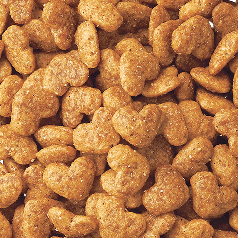 ビューティープロ キャット 腎臓の健康維持 15歳以上 フィッシュ味 1.4kg(280g×5袋)