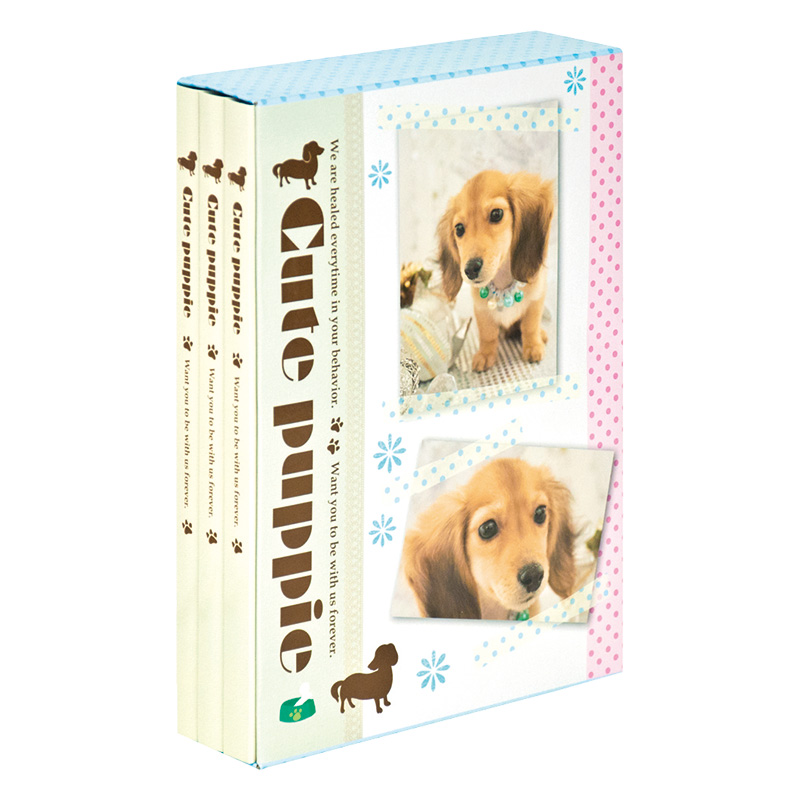 3冊 ソフトボックスアルバム L判3段 180枚 キュートパピー