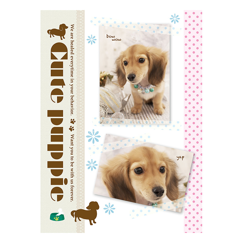 3冊 ソフトボックスアルバム L判3段 180枚 キュートパピー