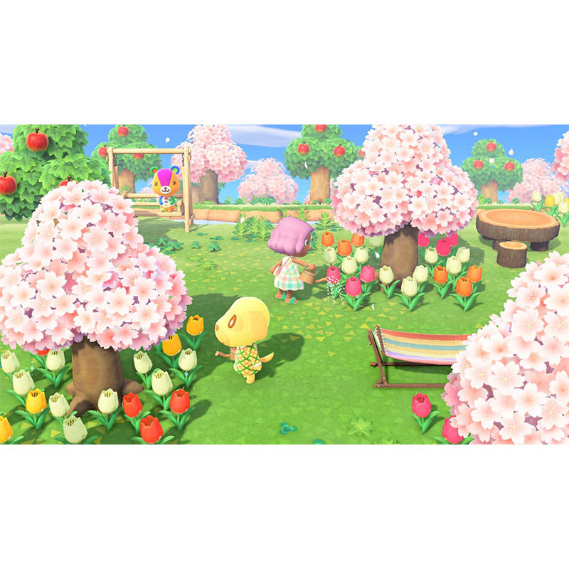 【sw2】あつまれ どうぶつの森 Nintendo Switch 2 Edition