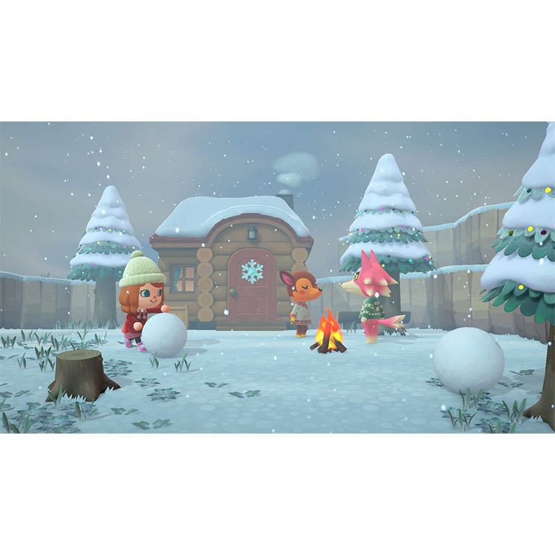 【sw2】あつまれ どうぶつの森 Nintendo Switch 2 Edition