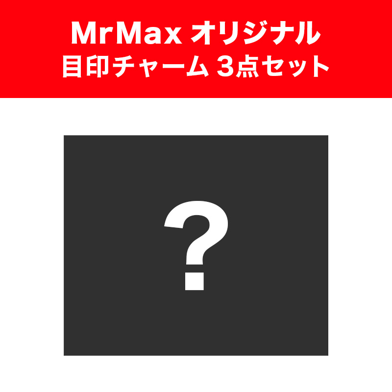 【SW2】<MrMax購入特典付>スプラトゥーン レイダース