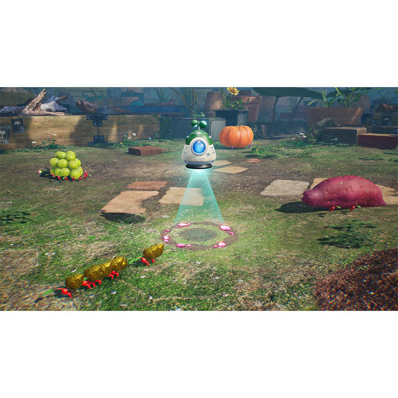 【SW2】Pikmin 4 Nintendo Switch 2 Edition + だれでもチャレンジ! ダンドリ検定
