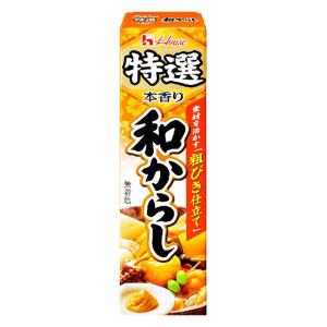 ハウス食品 特選本香り和からし 42g