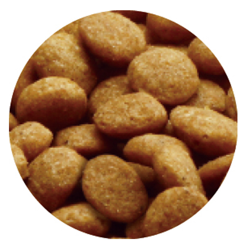 メディファス アドバンス 猫 グレインフリー 1歳から チキン＆フィッシュ味 250g×5袋