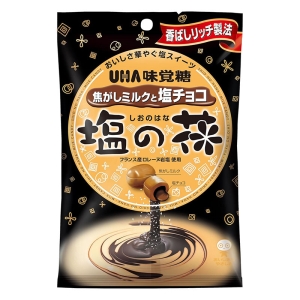 塩の花 ＜焦がしミルクと塩チョコ＞ 71g