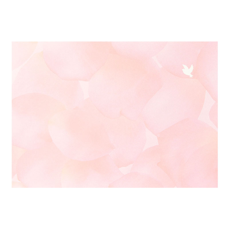 レターセット134 ハナイロノキモチ