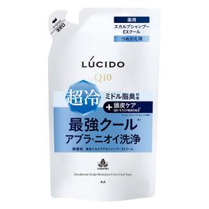 ルシード 薬用スカルプデオシャンプー EXクールタイプ 詰替【医薬部外品】 380ml