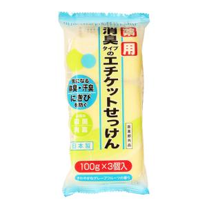 薬用エチケット石けん 100g 3個入【医薬部外品】