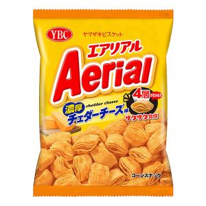 エアリアル 濃厚チェダーチーズ 65g