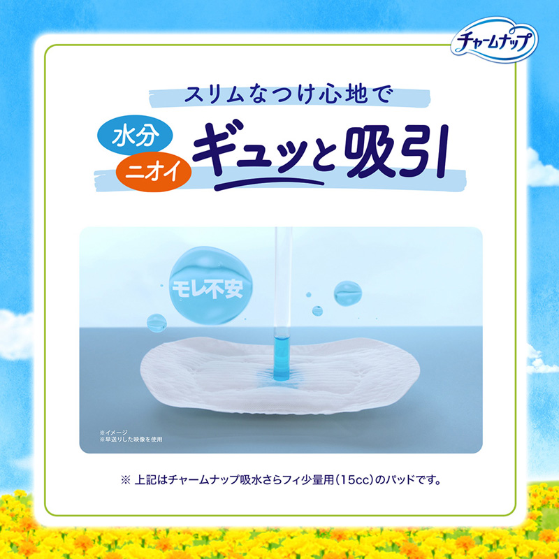チャームナップ 吸水さらフィ 少量用 15cc 19cm 32枚