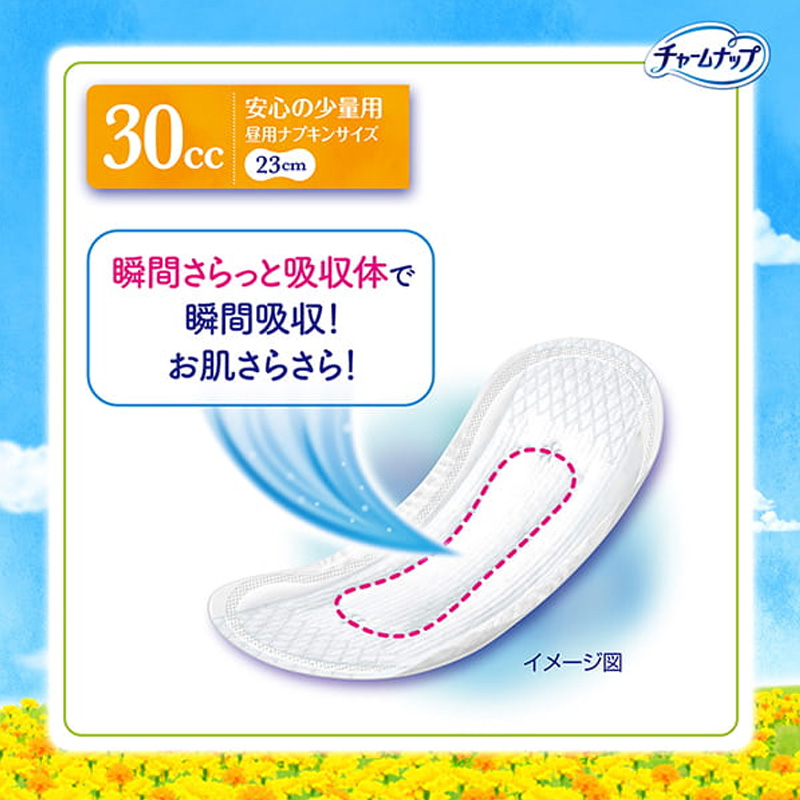 チャームナップ 吸水さらフィ 安心の少量用 30cc 23cm 44枚
