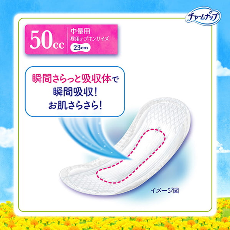 チャームナップ 吸水さらフィ 中量用 50cc 23cm 38枚