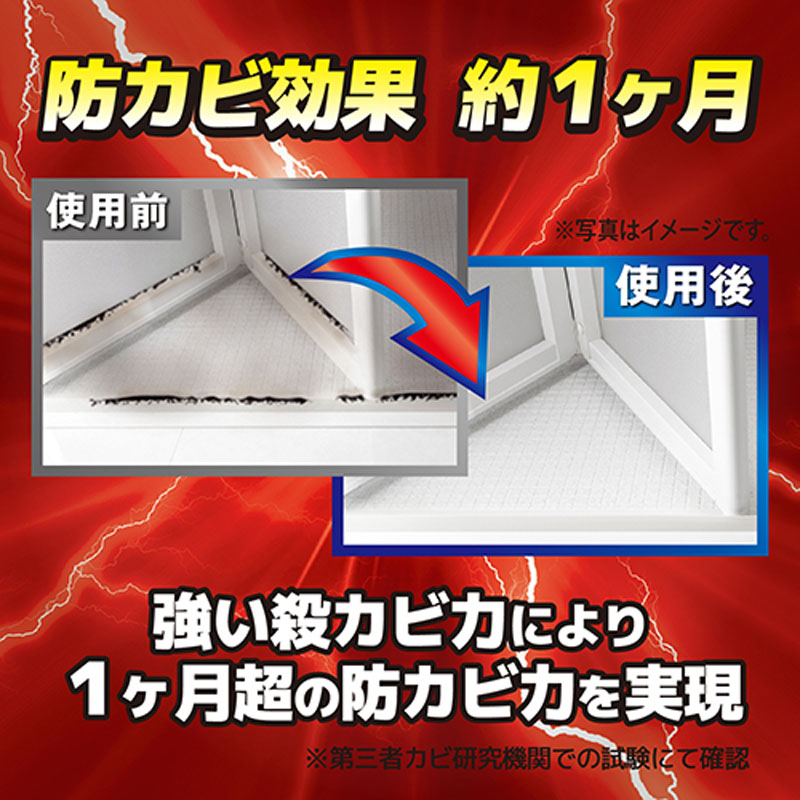 ウルトラハードクリーナー カビ用 200g